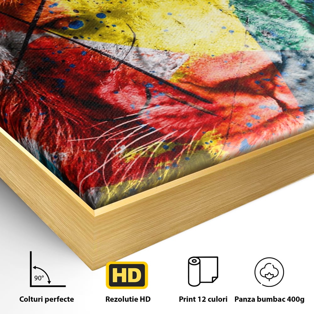 Detaliu al suprafetei: tablou canvas cu leu colorat, in rama de aluminiu auriu